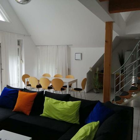 Appartement Ferienimspessart Og à Bad Soden-Salmünster Extérieur photo